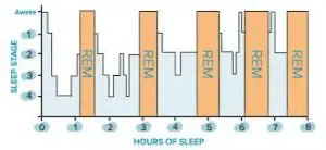 Graph of REM sleep cylces