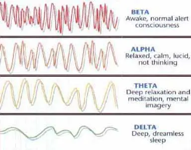 Tinnitus Brainwaves Similar to Other Neurological Conditions