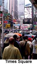 NY Times Square