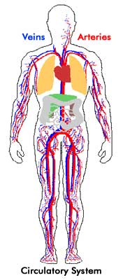 Eustachian tube dysfunction pulsatile tinnitus sale