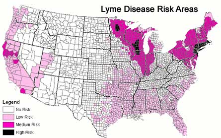 Map of US States with Lyme Disease