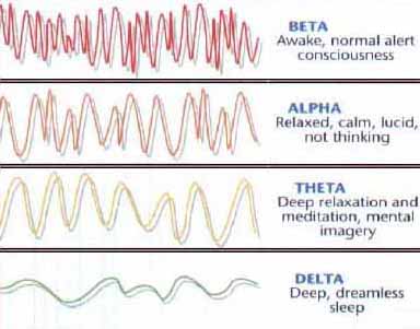 Illustration of basic brainwave tyrpes.